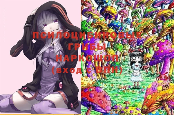 спайс Бородино