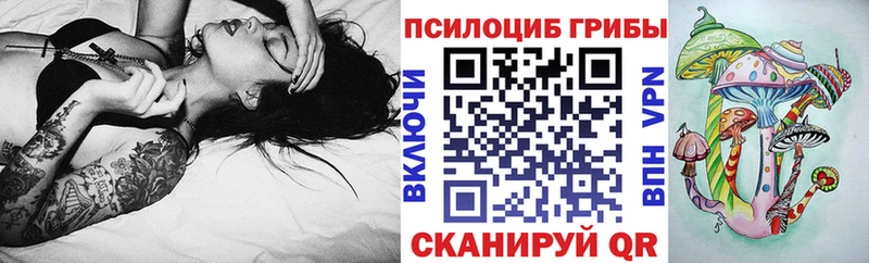 Псилоцибиновые грибы мицелий  Купить где  Губаха 